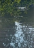 Shallow Water