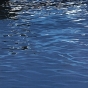 Coal Harbor
