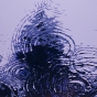 Raindrops