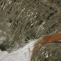 Salmon Jumping