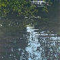 Shallow Water