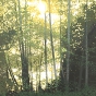 Alders