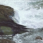Fry Creek