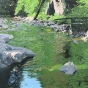 Lynn Valley Pool