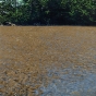 Capilano River