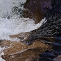Kokanee Creek