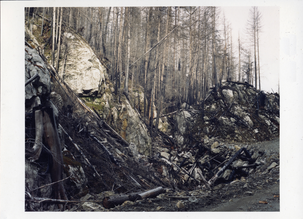 Loraine Gilberet"s photograph of the Canal Flats Fire